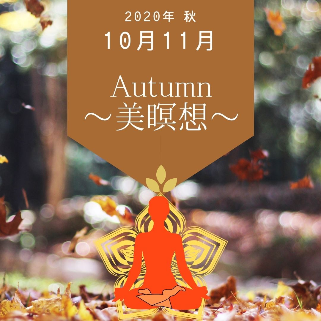 11月～秋の美瞑想～